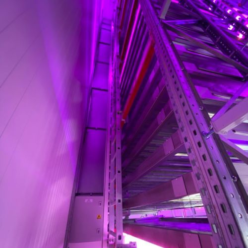 sermag et epis bucy le long